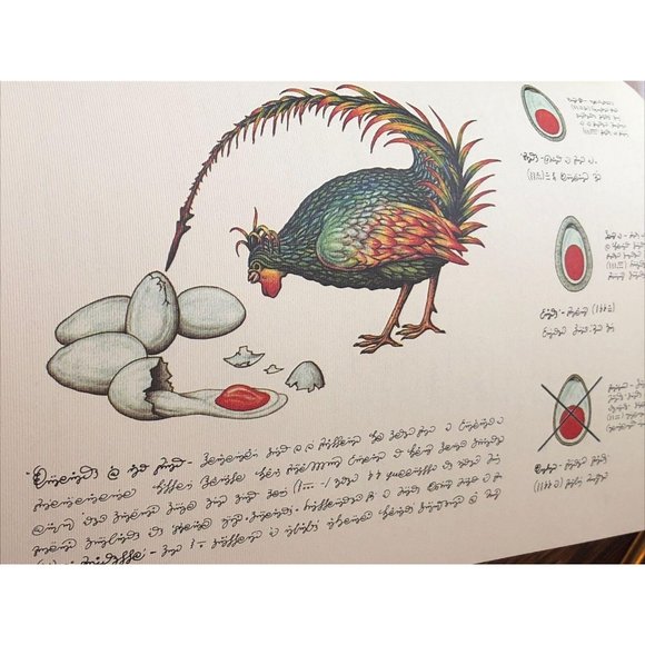 Luigi Serafini Codex Seraphinianus Print 92 - Picture 2 of 6
